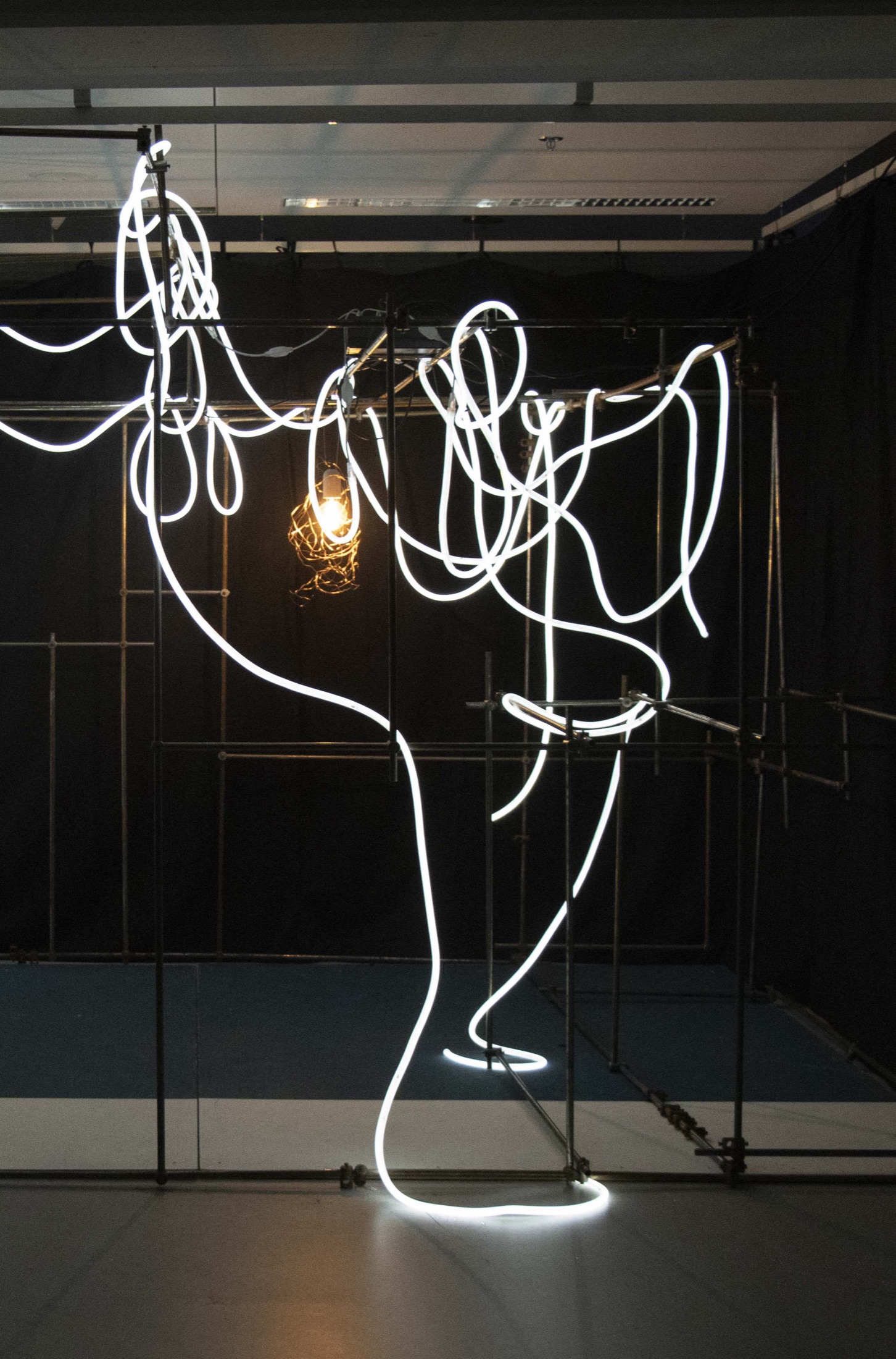 A Photography of the Gone Wild Installation. Iron Tube system with lights hanging from it.