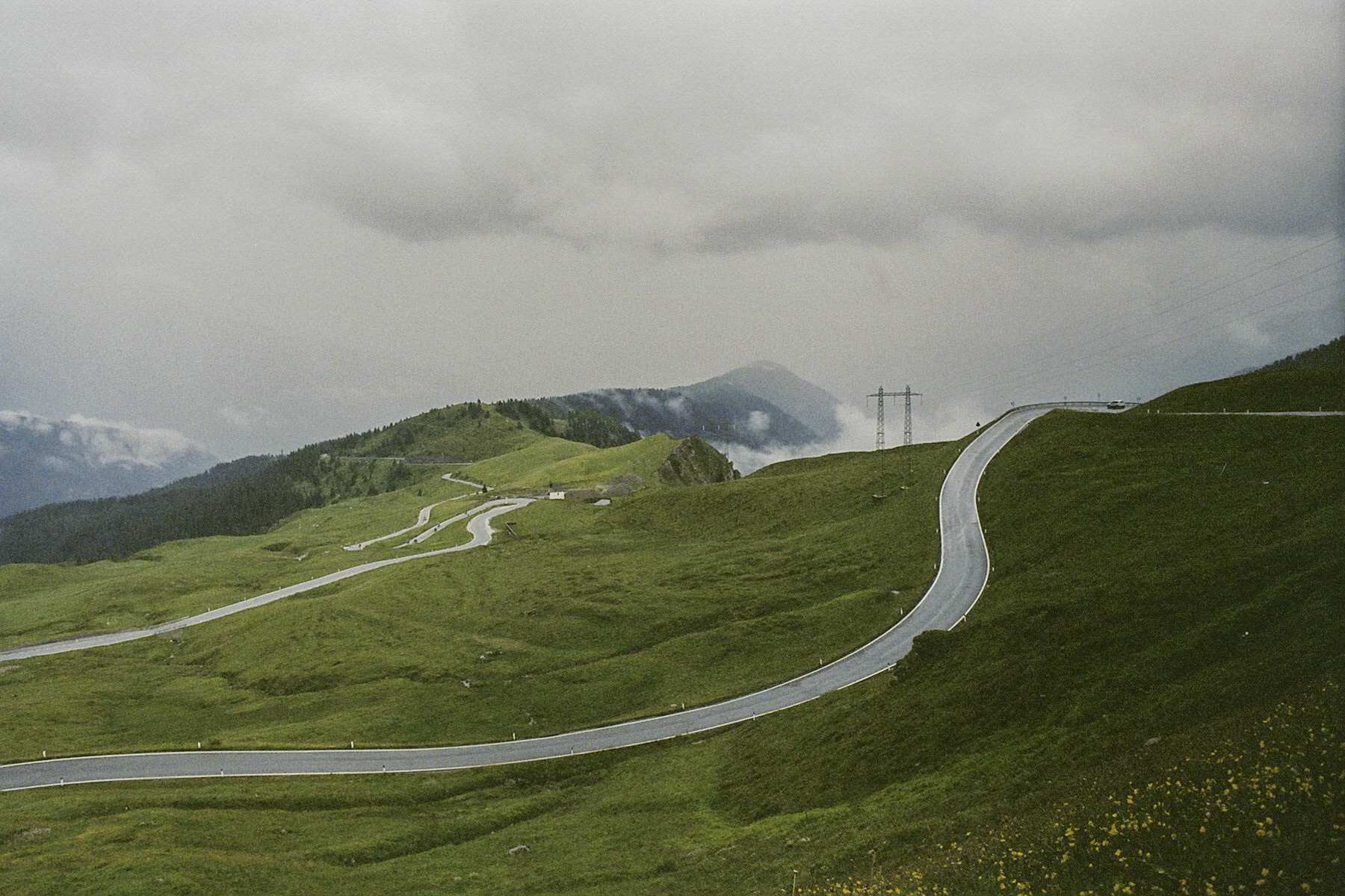analog photography of a green landscape with e road leading downward the hill